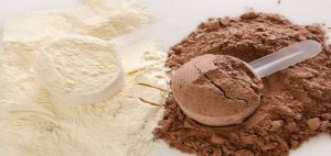 گینر برای عضله سازی