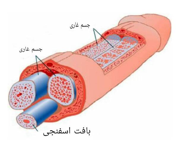 عکس چیز مردانه